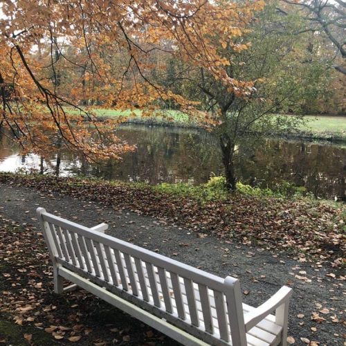 blog-scheidingscoaching